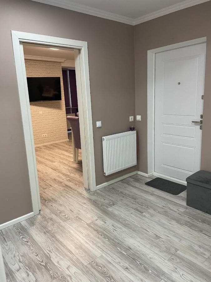 Apartamentul spațios, fotografia 3